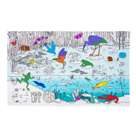 Nature & Wildlife Pond Adventure Tablecloth - Colour in & Learn - Educational Colouring Gifts - ELLIE
